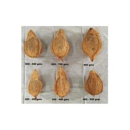 Semihusked Coconut from India