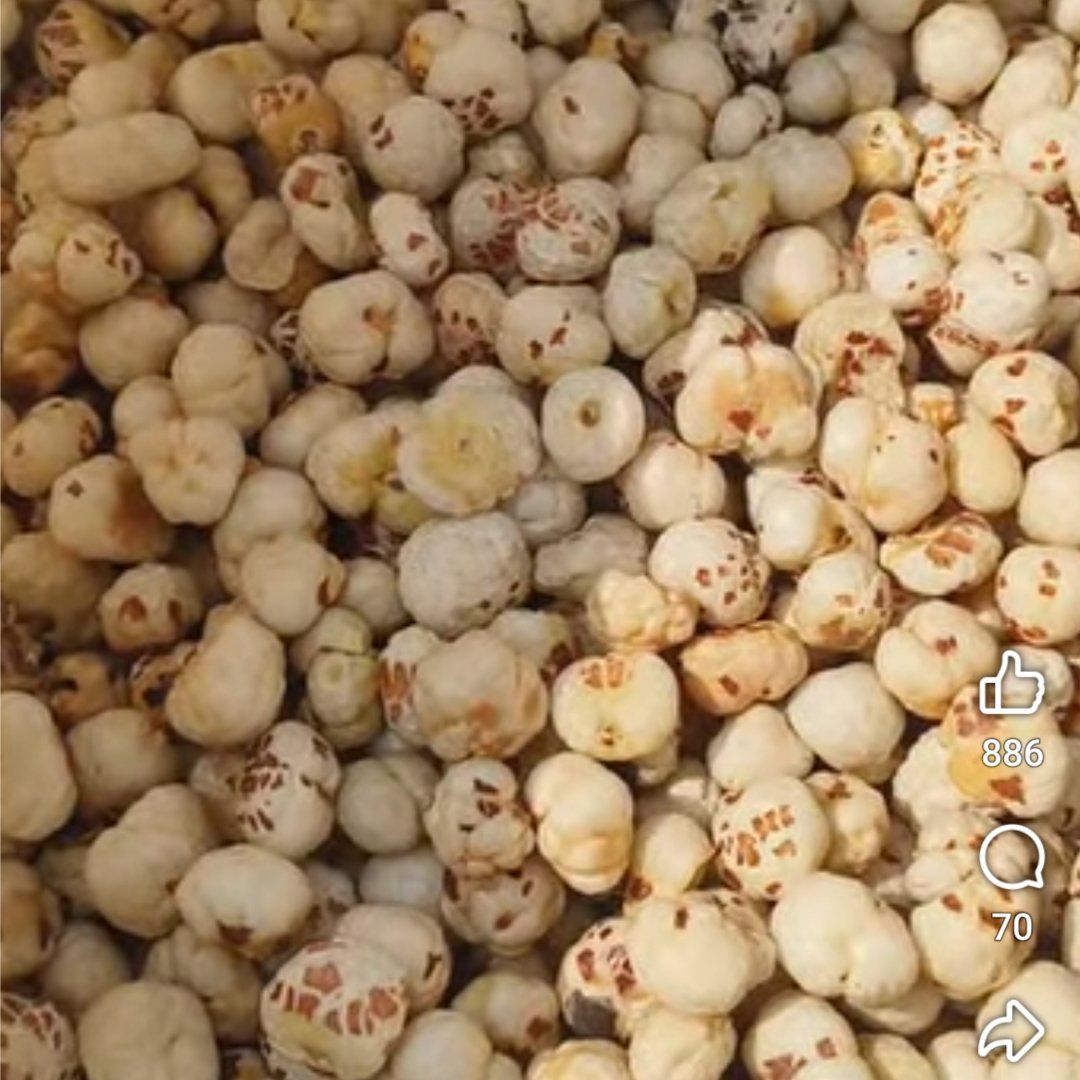 Makhana  - Wholesale Agriculture, Food & Beverage