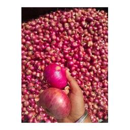 Red onion