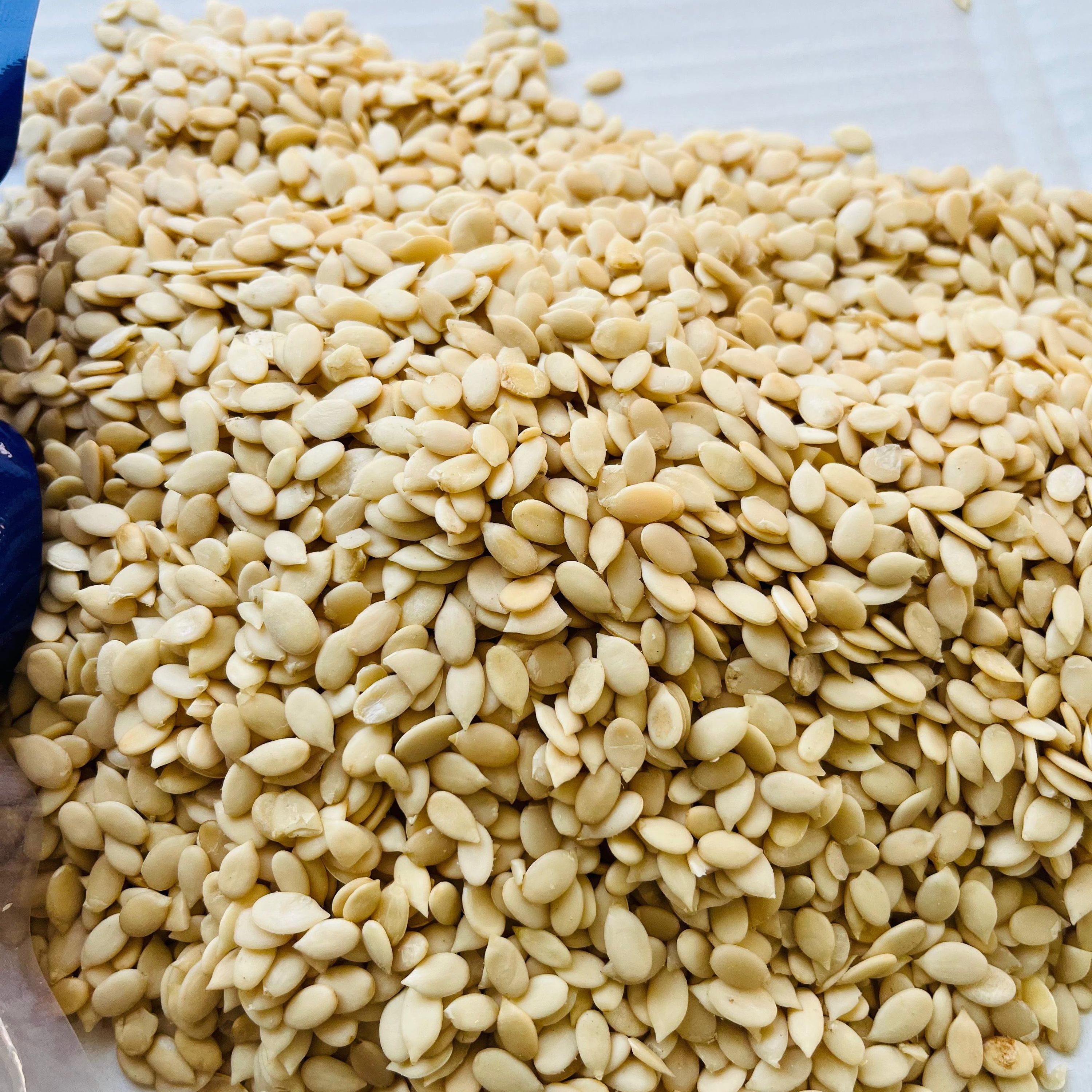 Sudan Sadir Watermelon Seeds (Magaj) - Wholesale Agriculture