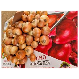 Egyptian Golden Onions - Wholesale Agriculture, Food & Beverage