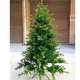 PE + Pointed Tip + Automatic Tree