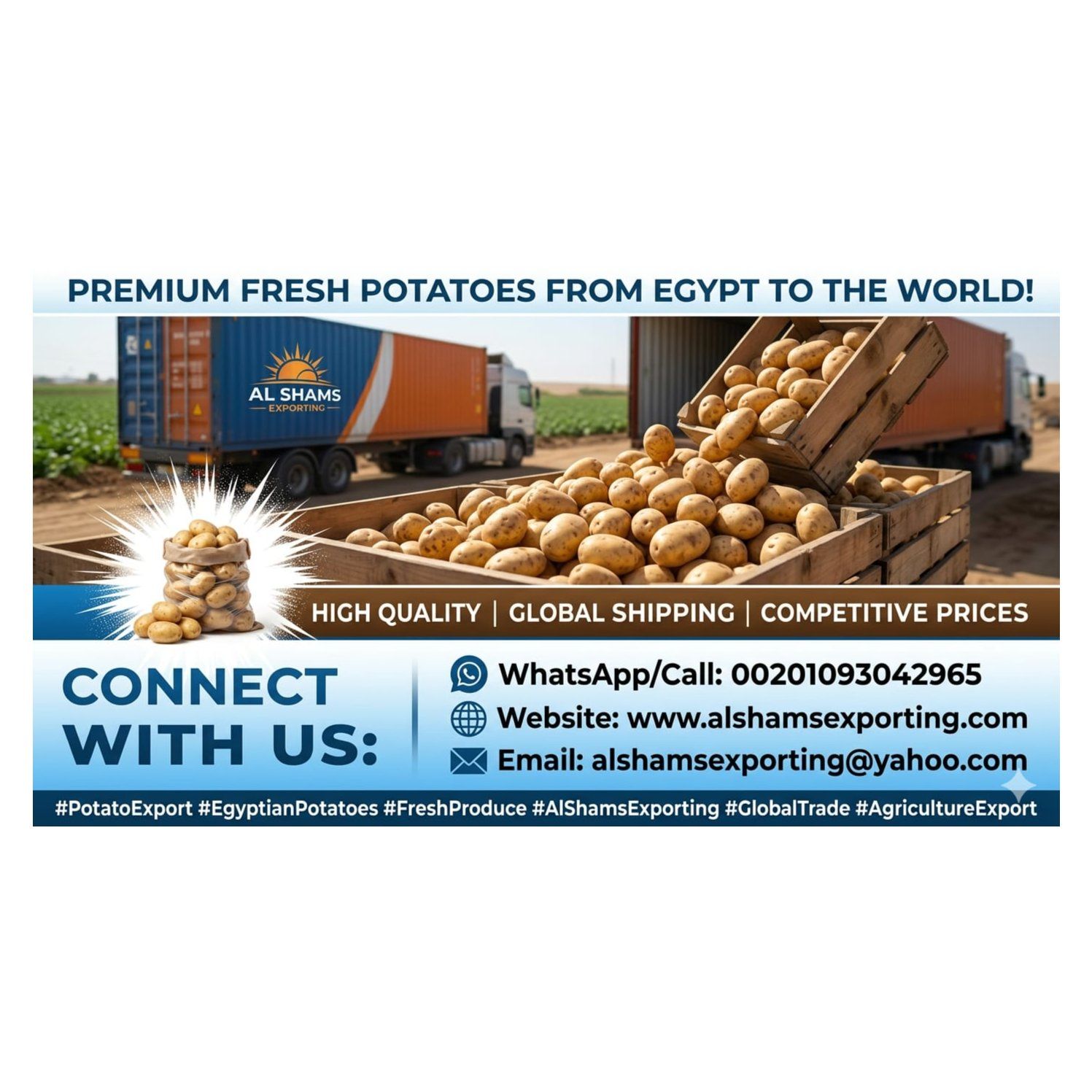 FRESH POTATO  - Wholesale Agriculture, Food & Beverage