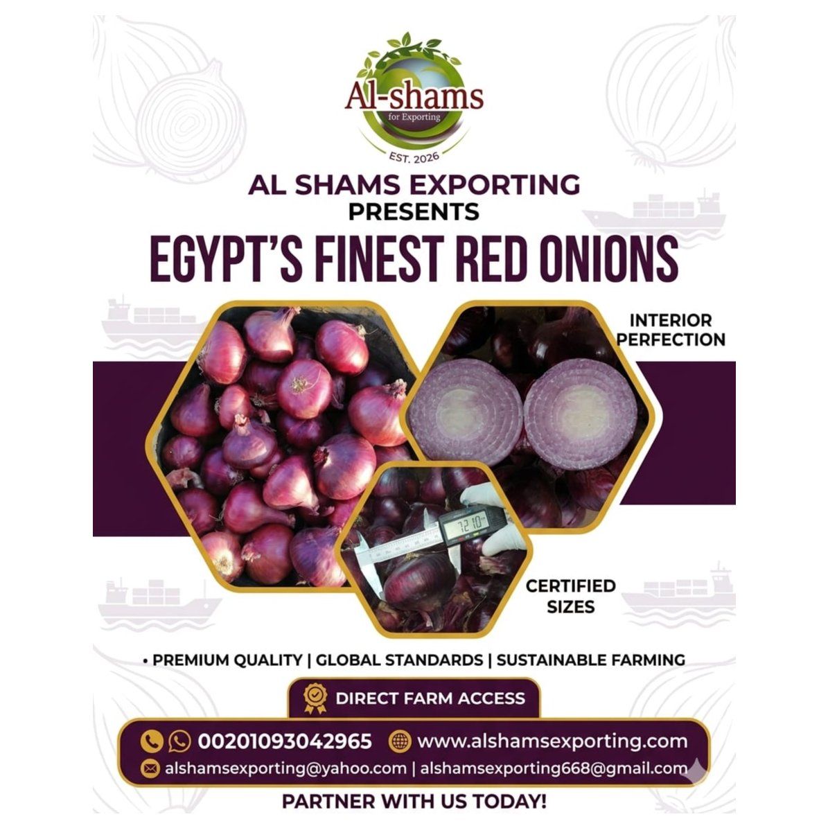 RED ONION - Wholesale Agriculture, Food & Beverage