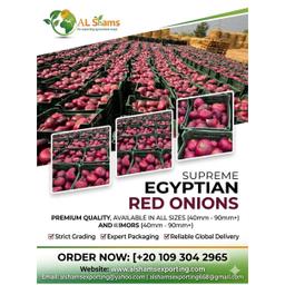 RED ONION - Wholesale Agriculture, Food & Beverage
