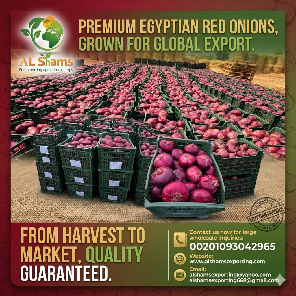 RED ONION  - Wholesale Agriculture, Food & Beverage