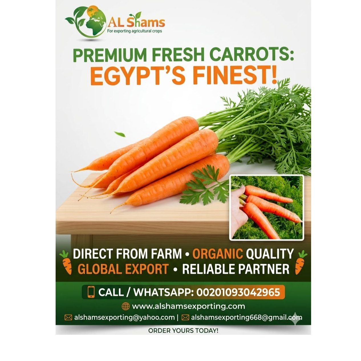 fresh carrot  - Wholesale Agriculture, Food & Beverage