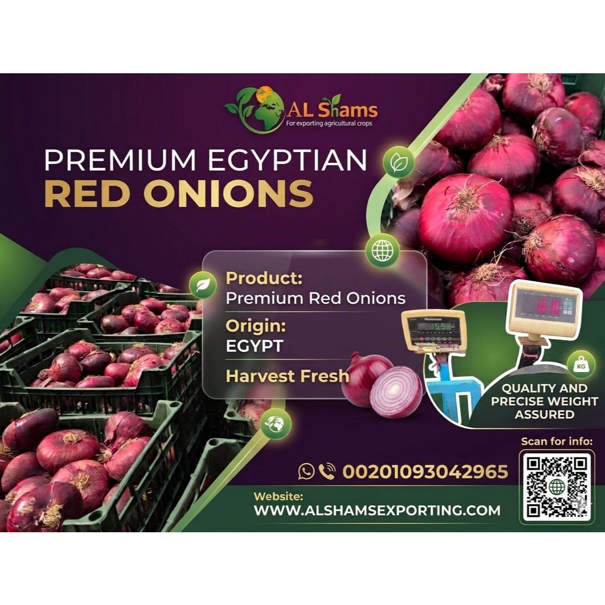 FRESH RED ONION  - Wholesale Agriculture, Food & Beverage