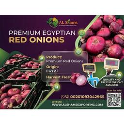 FRESH RED ONION - Wholesale Agriculture, Food & Beverage