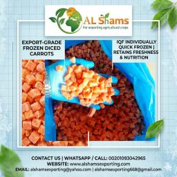 FROZEN CARROT - Wholesale Agriculture, Food & Beverage