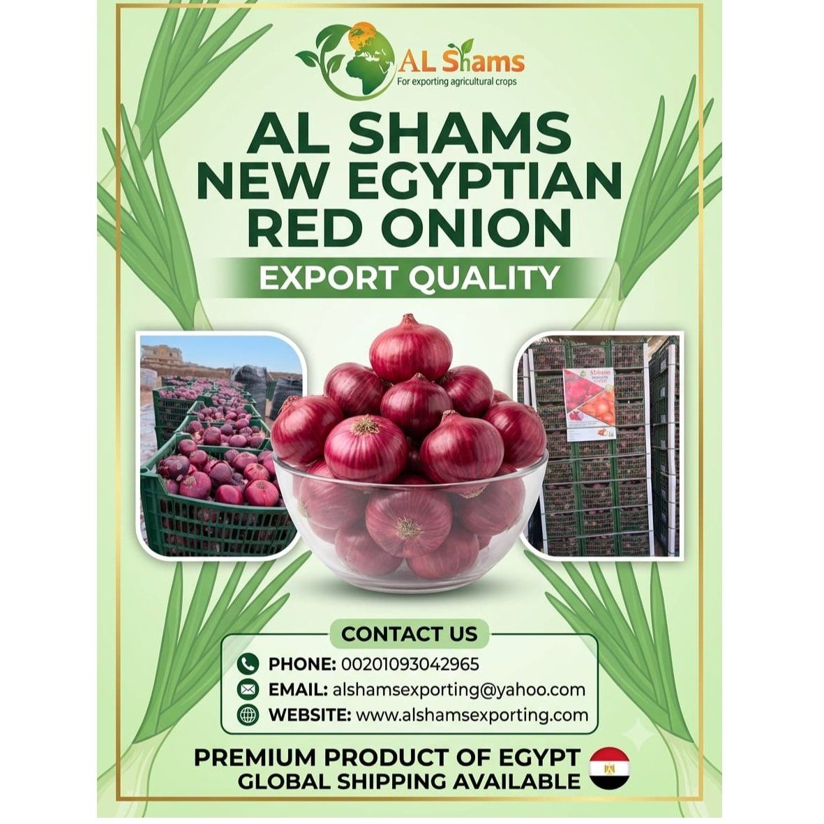 red onion  - Wholesale Agriculture, Food & Beverage
