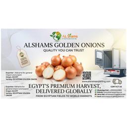 golden onion - Wholesale Agriculture, Food & Beverage