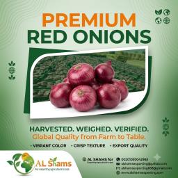 red onion