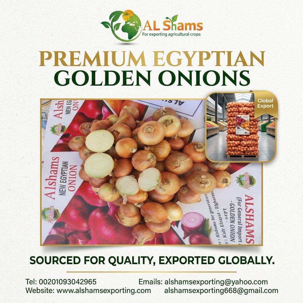 golden onion  - Wholesale Agriculture, Food & Beverage