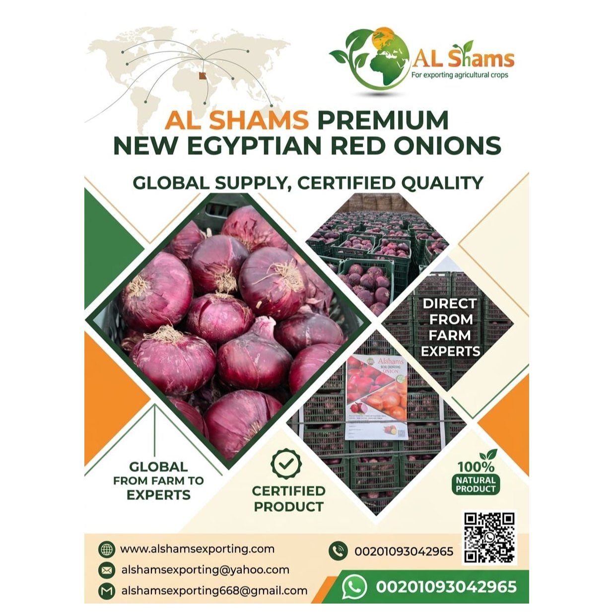 RED ONION  - Wholesale Agriculture, Food & Beverage