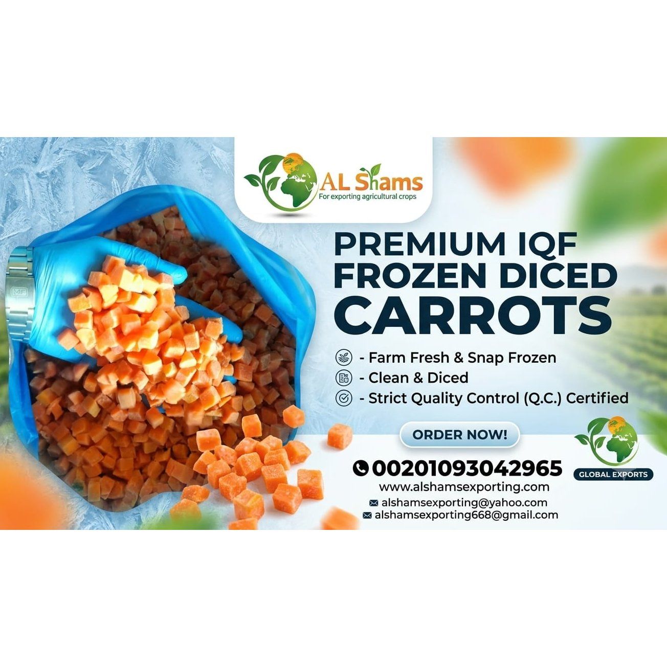 FROZEN CARROT - Wholesale Agriculture, Food & Beverage