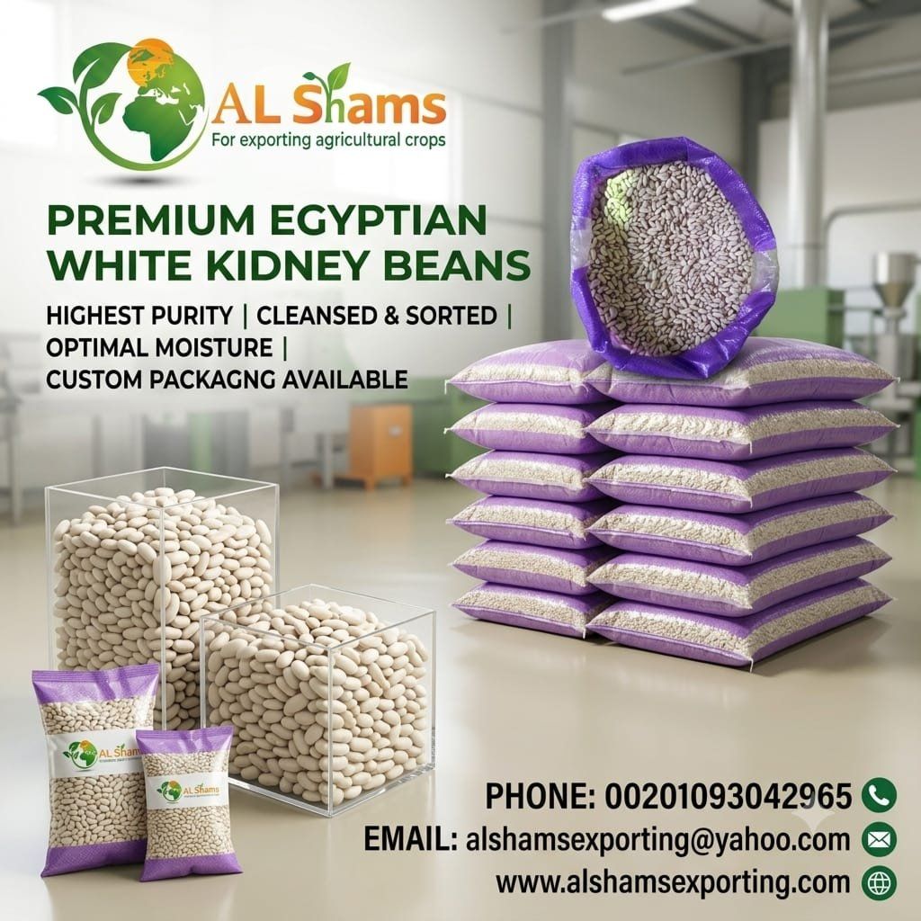 WHITE BEANS  - Wholesale Agriculture, Food & Beverage