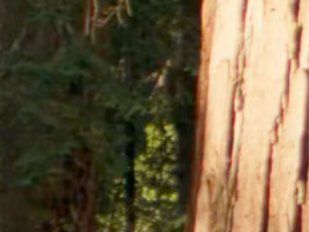 Ergonomic Office Chair - Wholesale Furniture