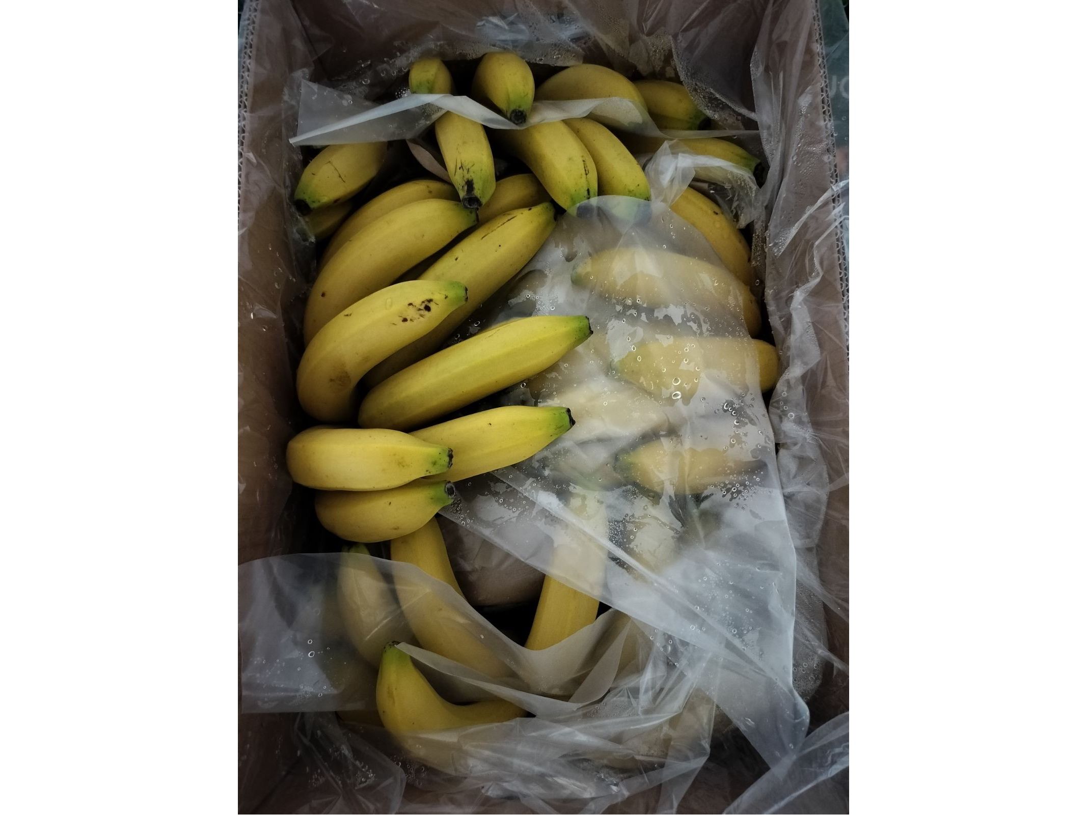 Banana