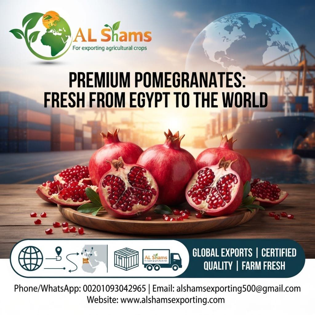 fresh Pomegranates - Wholesale Agriculture, Food & Beverage