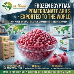 FROZEN POMEGRANATE - Wholesale Agriculture, Food & Beverage