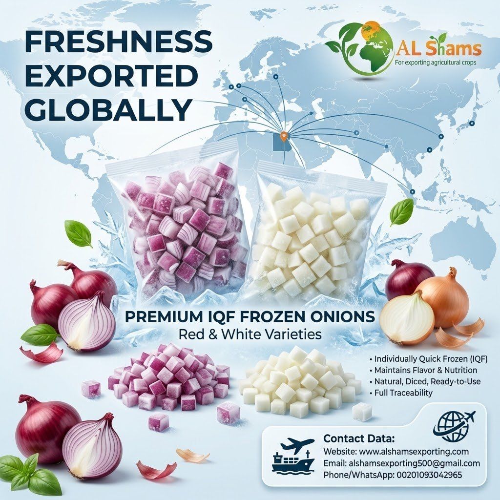 frozen onion  - Wholesale Agriculture, Food & Beverage