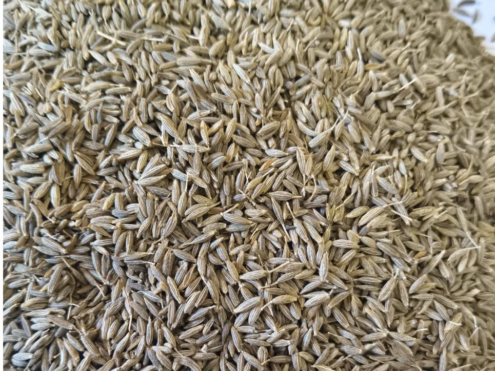 Cumin Seed
